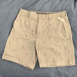 Pineapple Shorts - Men’s 36